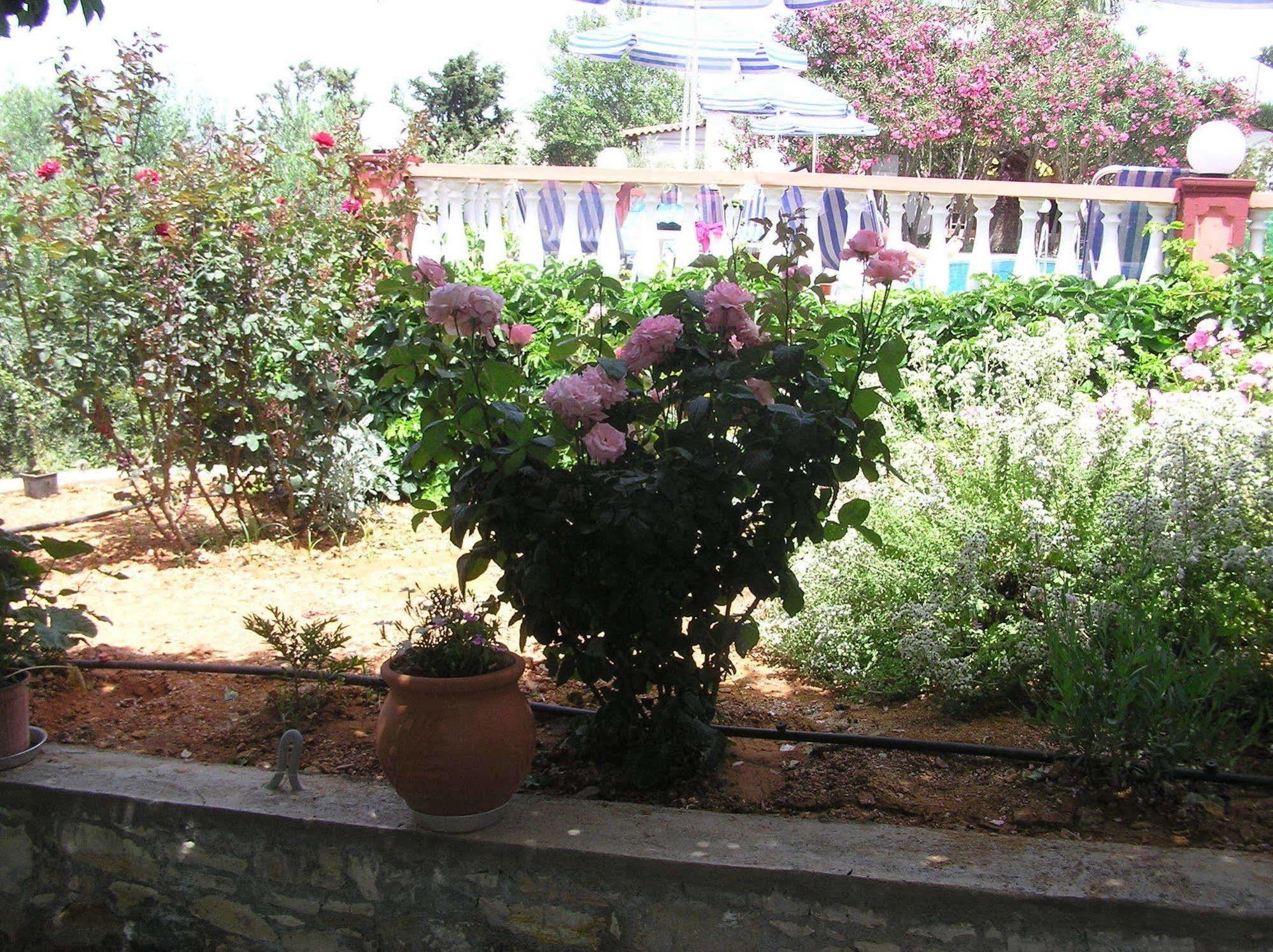 Aparthotel Knossos Pánormos Exteriér fotografie